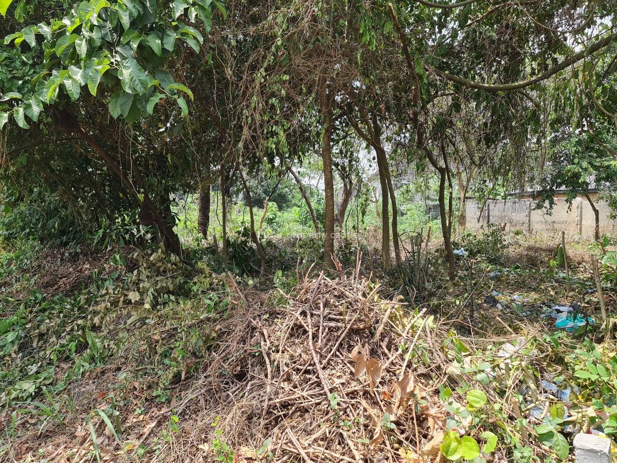 Power of Attorney, Egbu Road, Owerri North, Imo, Land for Sale