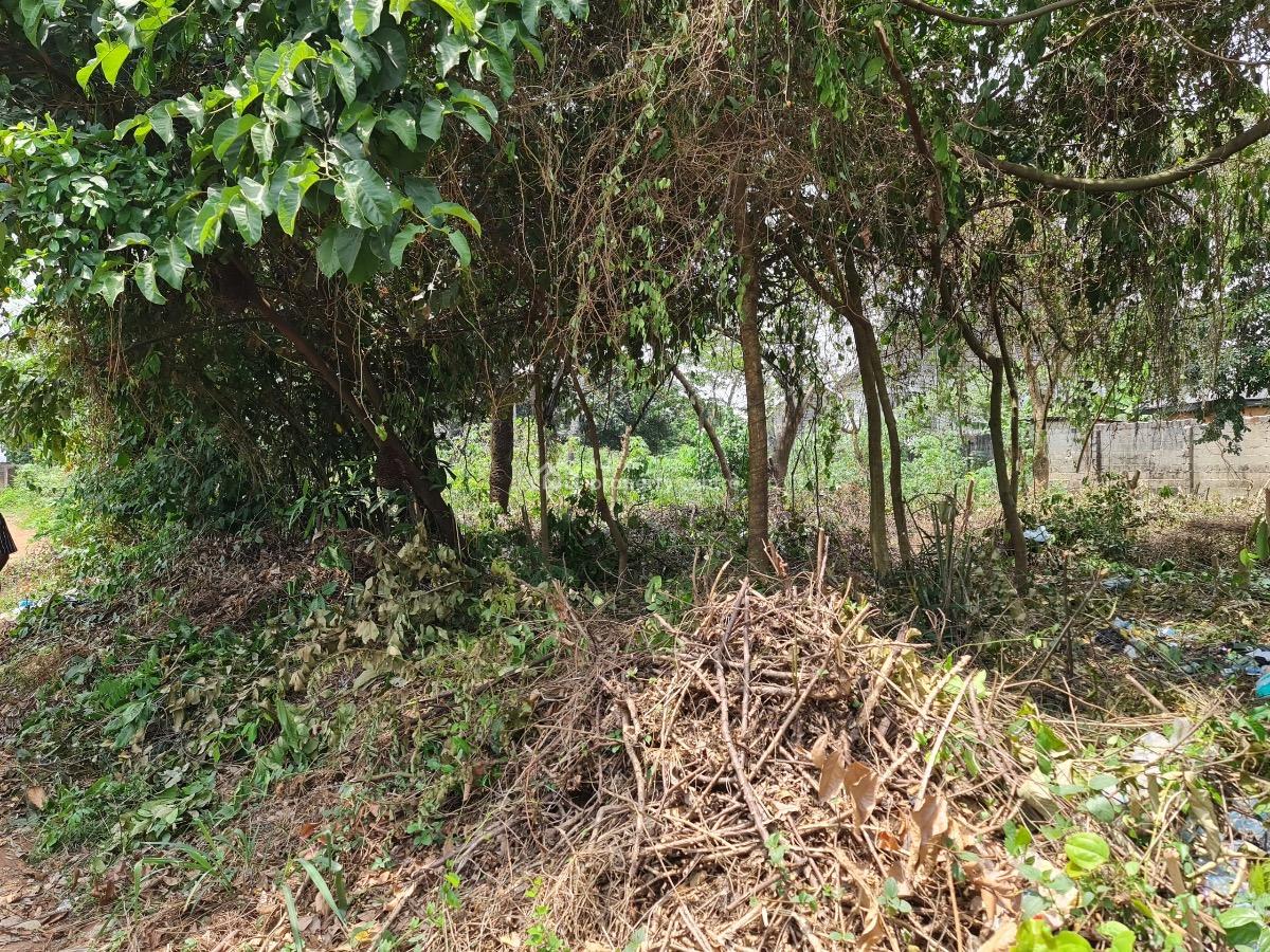 Power of Attorney, Egbu Road, Owerri North, Imo, Land for Sale