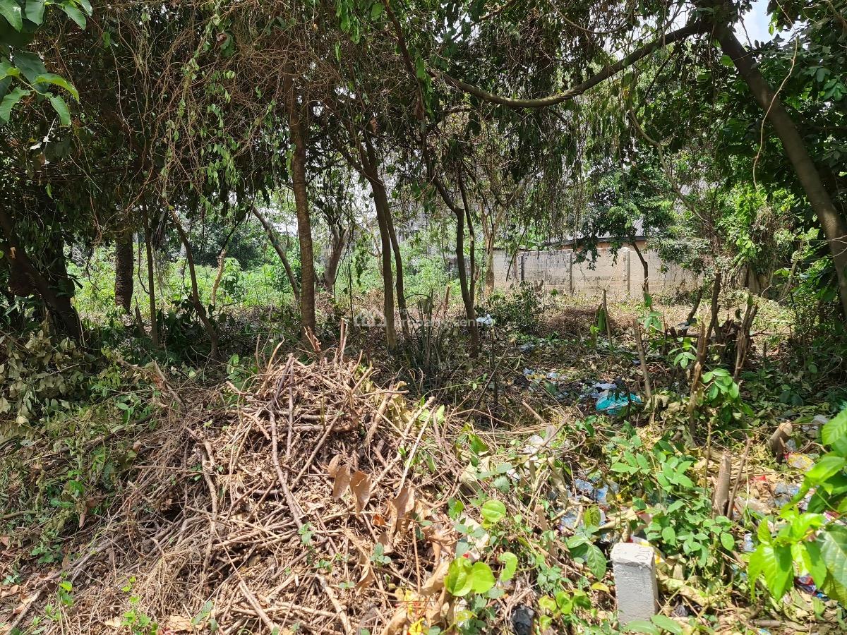 Power of Attorney, Egbu Road, Owerri North, Imo, Land for Sale