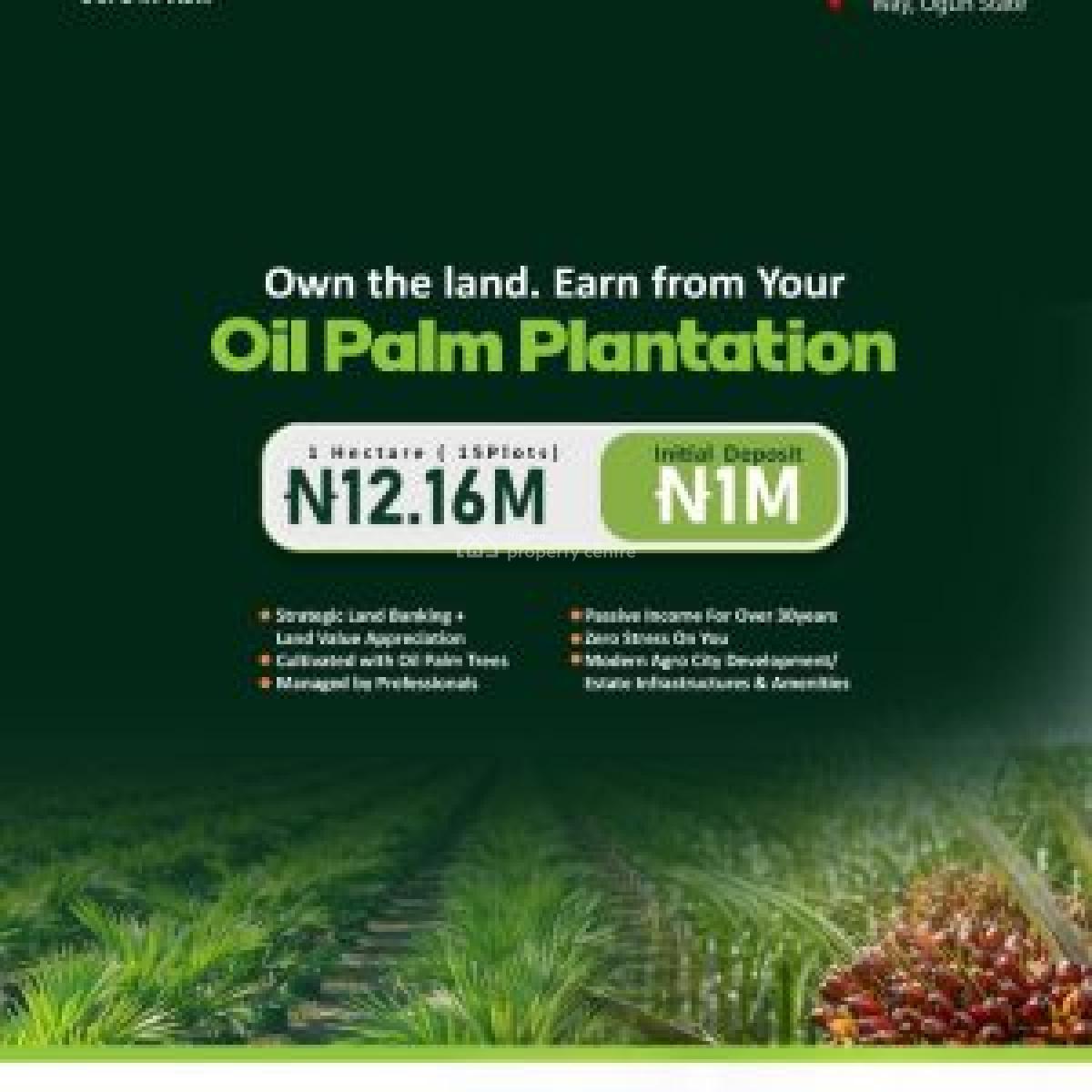 Palmrich Estate Phase 8 - Affordable Agricultural Land Investment, Ilu Aseyori Agro Smart City, Onigbedu, Ewekoro, Ewekoro, Ogun, Commercial Land for Sale