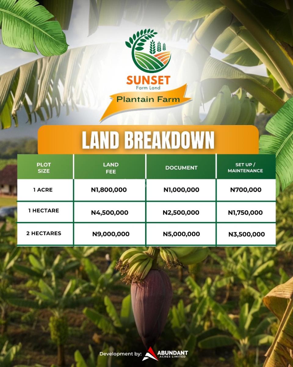 From Soil to Success, Invest in Sunset Plantain Farm Today, Secure Your Acres/ Hectares and Grow Your Wealth in Agriculture with S, Odeda, Ogun, Commercial Land for Sale