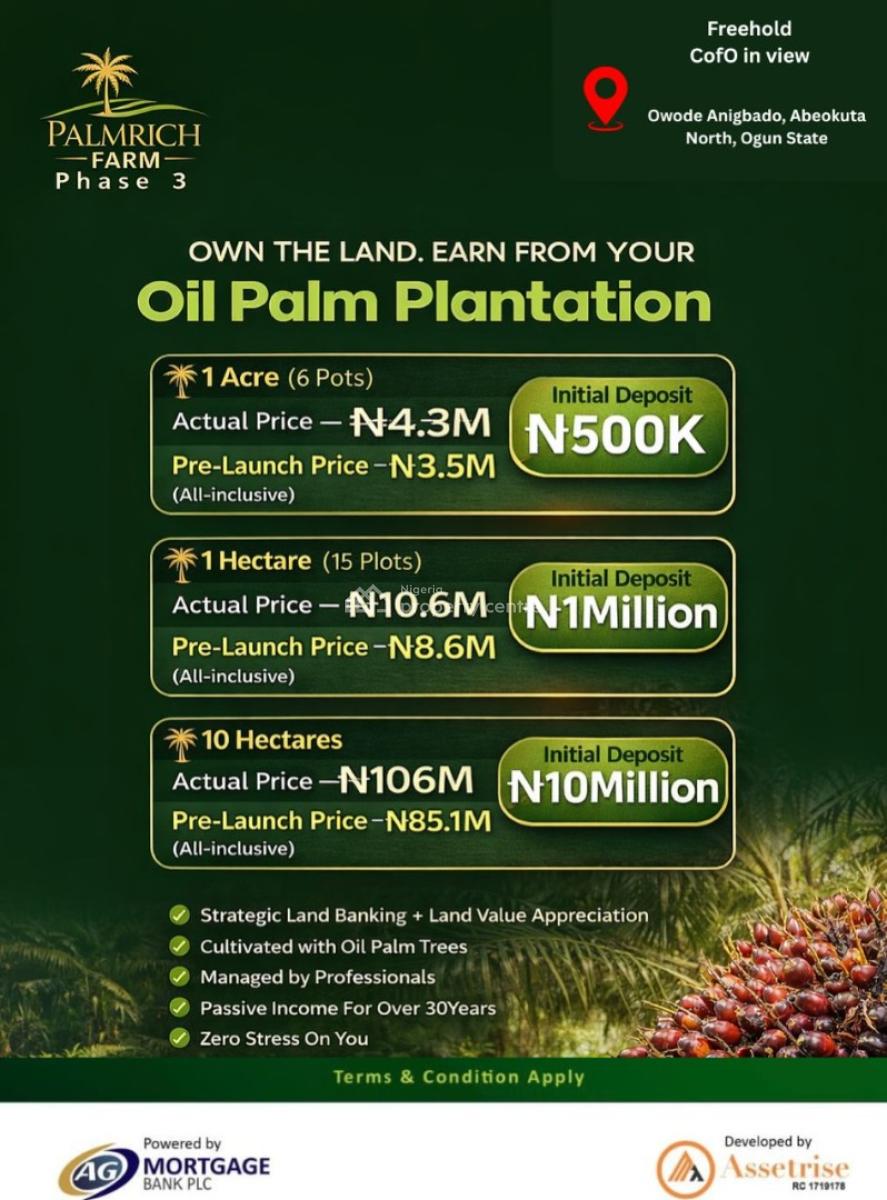 Do You Own Assets? Is Your Asset Bankable? Is It a Productive Asset?, Abeokuta, Odeda, Ogun, Land for Sale