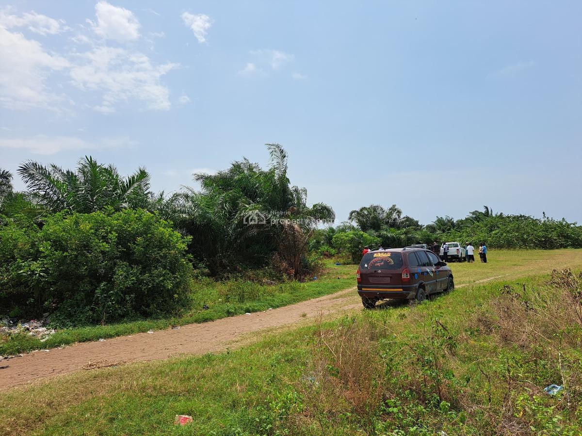 Massive Water Front Bare Land, Lekki Trade Zone Corridor, Ibeju Lekki, Lagos, Commercial Land for Sale