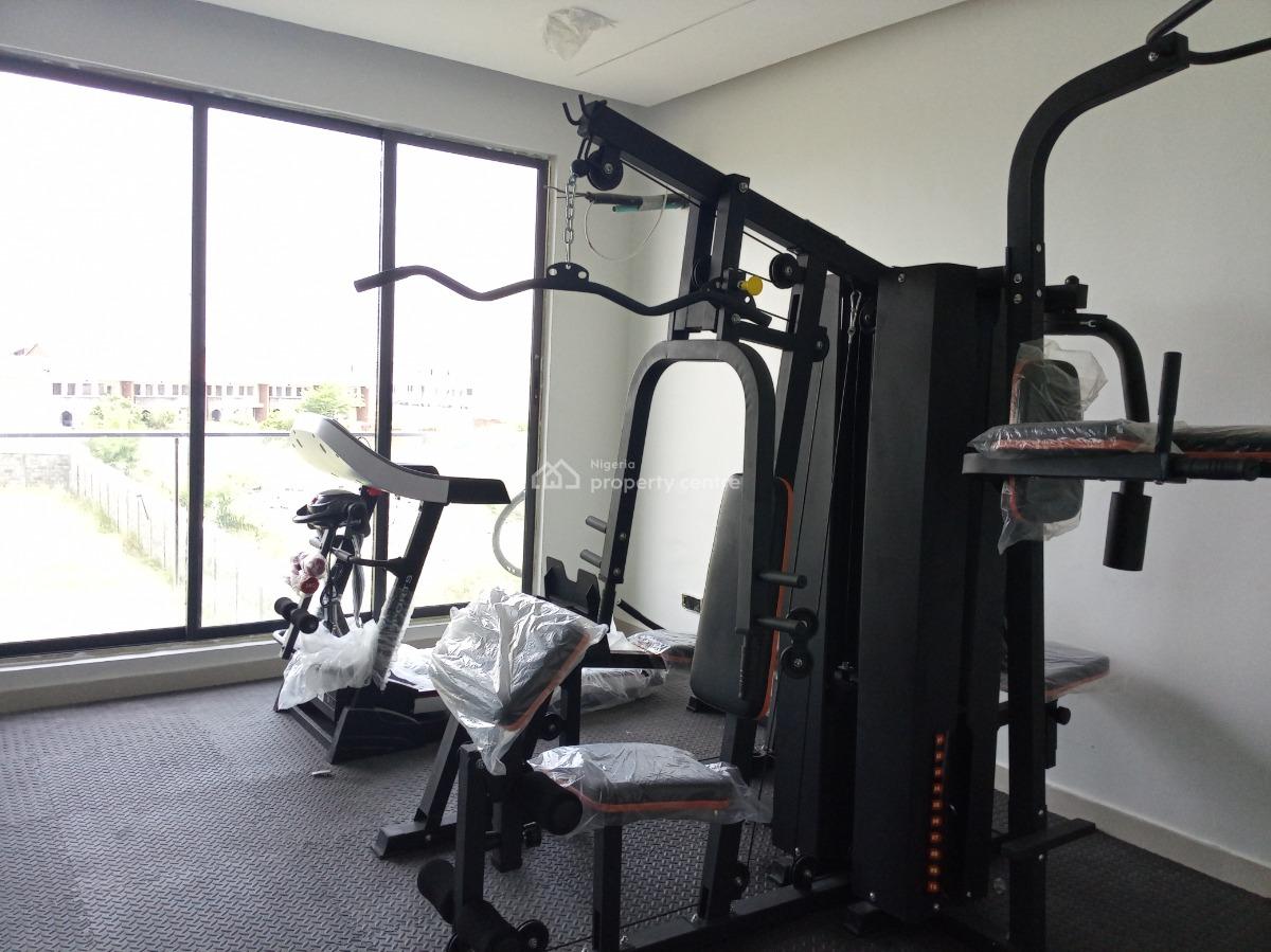 Good Looking 5 Bedroom Semi Detached with Pool, Cinema, Study and Gym, Ikate, Lekki, Lagos, Semi-detached Duplex for Sale