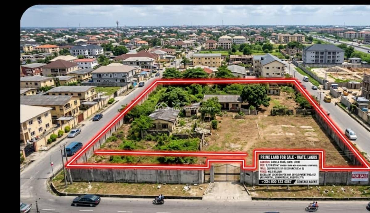 Big Lands for Mixed Use Purposes, Ikate, Lekki, Lagos, Commercial Land for Sale