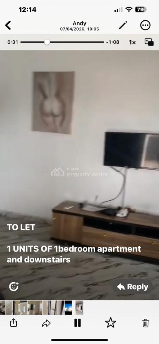 Luxury One Bedroom Mini Flat, Okun Ajah, Lekki, Lagos, Mini Flat (room and Parlour) for Rent