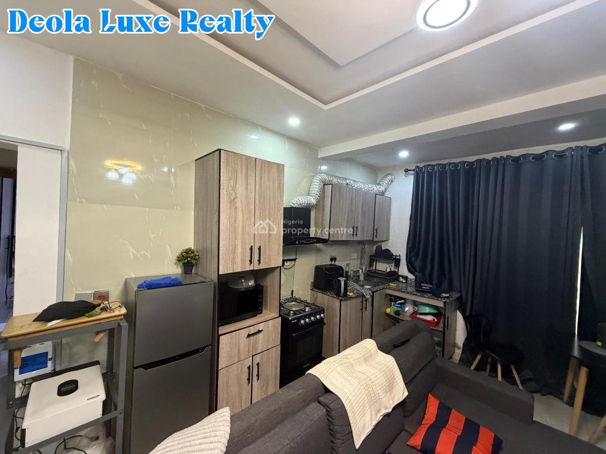 a Super Luxury 1 Bedroom Fully Serviced Apartment with Pool & Gym, Ikate, Lekki, Lagos, Mini Flat (room and Parlour) for Sale