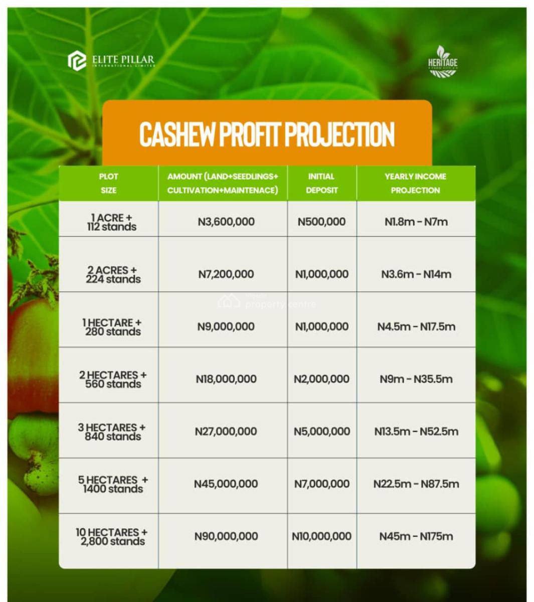 Mixed Use Land, Earn Over 30 Million Return on Cocoa & Plantain Farming, Abeokuta North, Ogun, Mixed-use Land for Sale