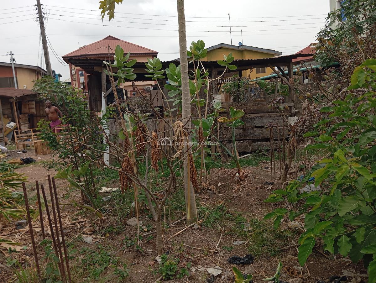 Residential Plot of Land, Ogunjinrin Street Off Owolabi Oshogun Alapere Ketu, Alapere, Ketu, Lagos, Residential Land for Sale