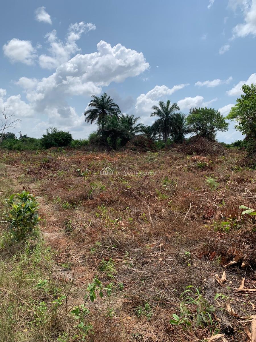 Springfield Oasis Estate, Arapagi Oloko, Ibeju Lekki, Lagos, Commercial Land for Sale