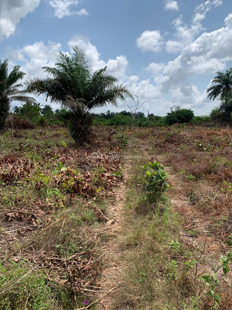 Springfield Oasis Estate, Arapagi Oloko, Ibeju Lekki, Lagos, Commercial Land for Sale