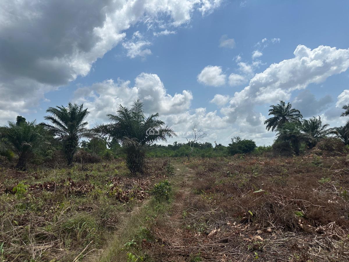 Springfield Oasis Estate, Arapagi Oloko, Ibeju Lekki, Lagos, Commercial Land for Sale