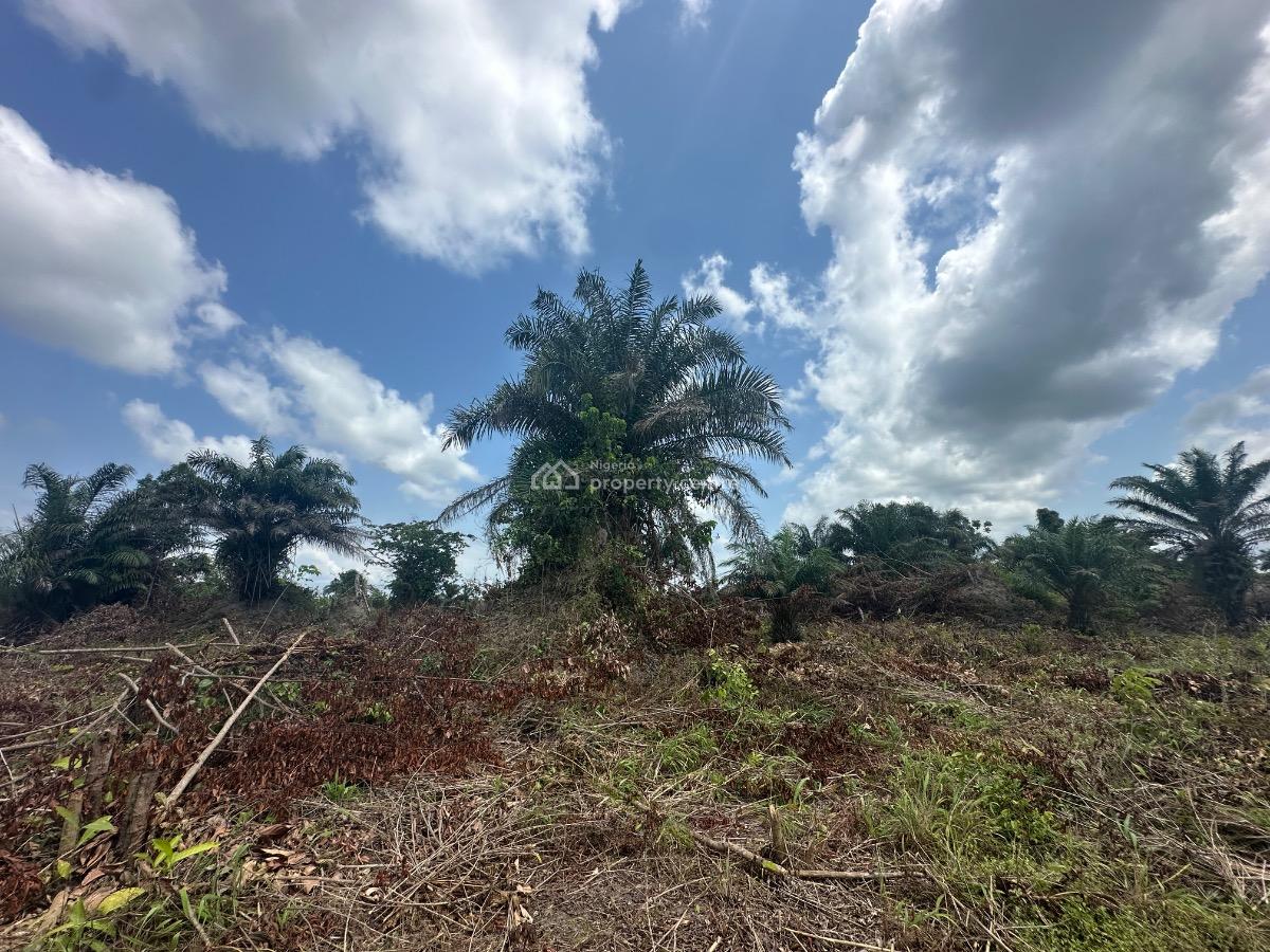 Springfield Oasis Estate, Arapagi Oloko, Ibeju Lekki, Lagos, Commercial Land for Sale