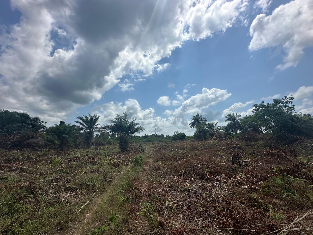 Springfield Oasis Estate, Arapagi Oloko, Ibeju Lekki, Lagos, Commercial Land for Sale