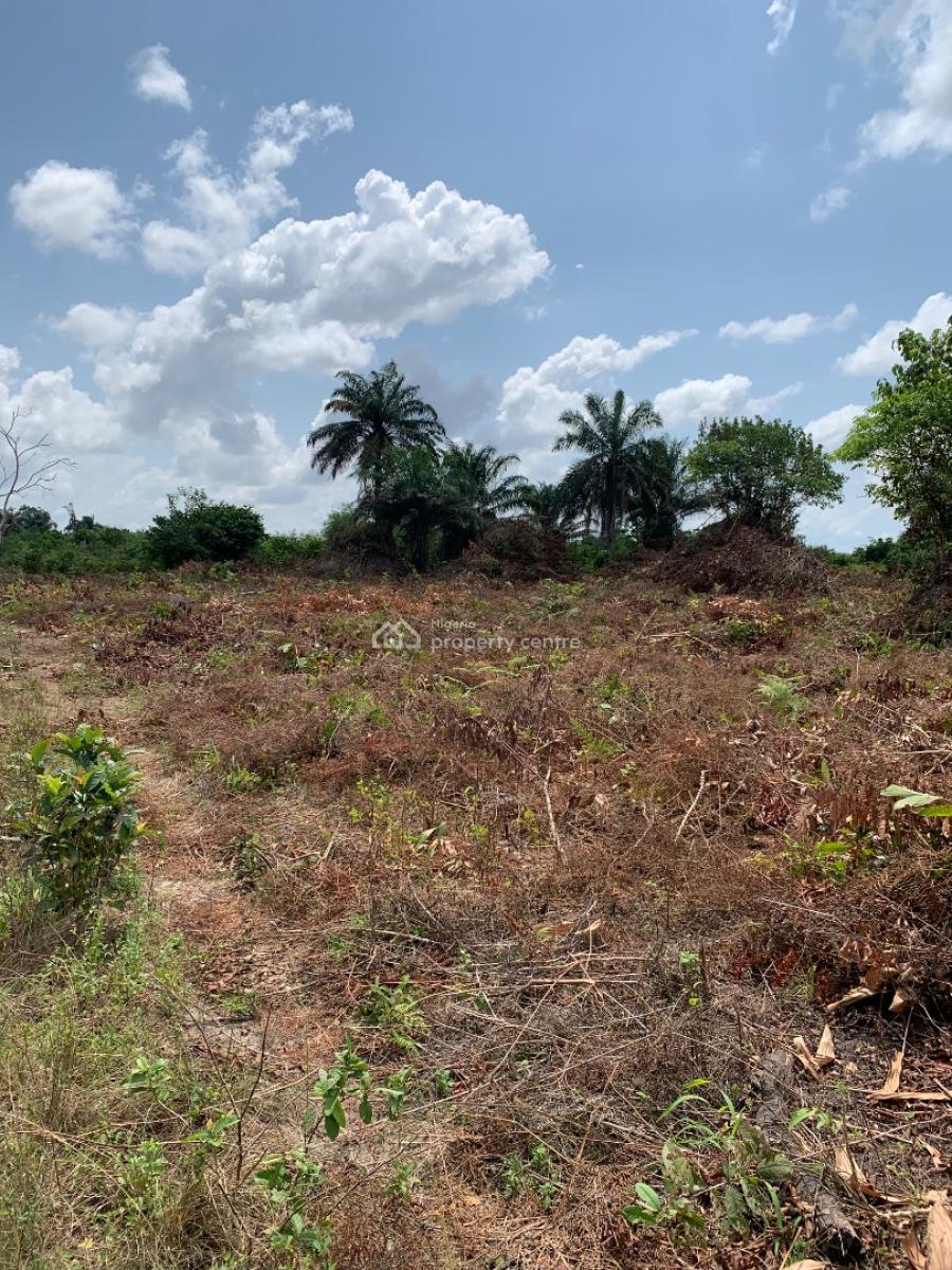 Springfield Oasis Estate, Arapagi Oloko, Ibeju Lekki, Lagos, Commercial Land for Sale