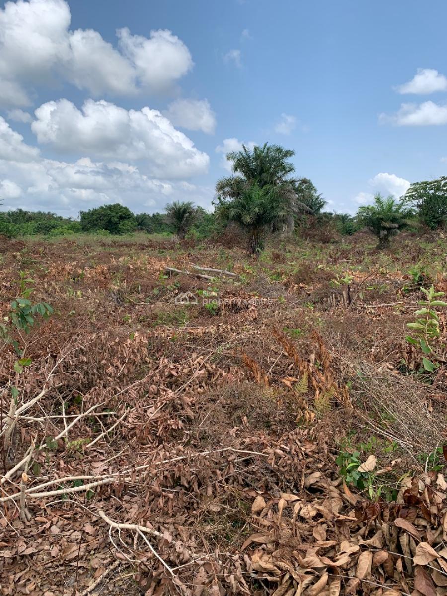 Springfield Oasis Estate, Arapagi Oloko, Ibeju Lekki, Lagos, Commercial Land for Sale