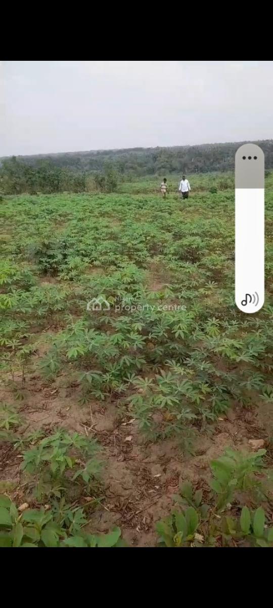 8 Plots of Land in a Serene Developed Area, Ibk Layout, Igboetche Road, Ikwerrengwo, Oyigbo, Rivers, Commercial Land for Sale