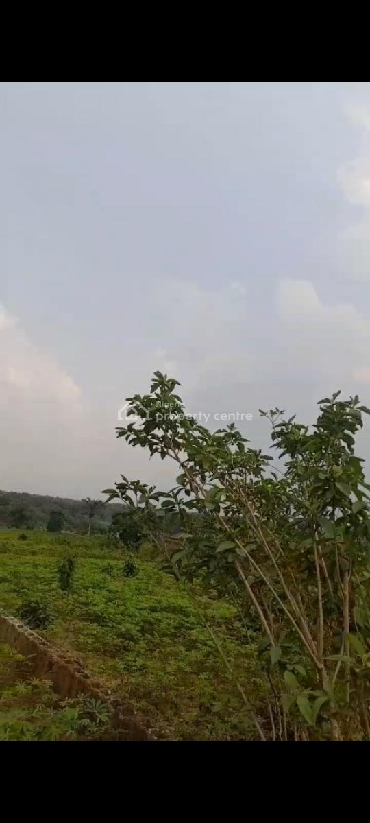 8 Plots of Land in a Serene Developed Area, Ibk Layout, Igboetche Road, Ikwerrengwo, Oyigbo, Rivers, Commercial Land for Sale