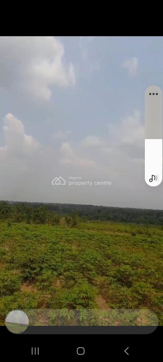 8 Plots of Land in a Serene Developed Area, Ibk Layout, Igboetche Road, Ikwerrengwo, Oyigbo, Rivers, Commercial Land for Sale