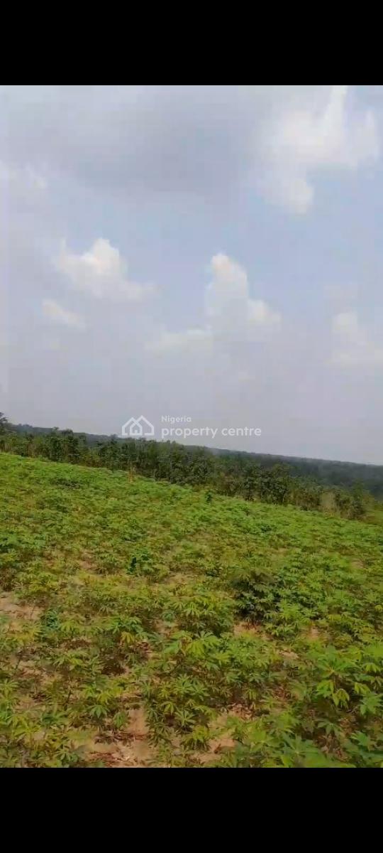 8 Plots of Land in a Serene Developed Area, Ibk Layout, Igboetche Road, Ikwerrengwo, Oyigbo, Rivers, Commercial Land for Sale