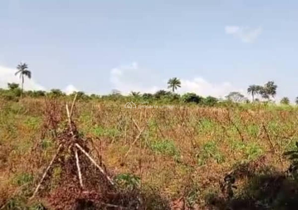 Verified Dry Land with Instant Allocation, Tingo Foods Processing Facility, National, Asaba International Airport, Asaba, Delta, Mixed-use Land for Sale