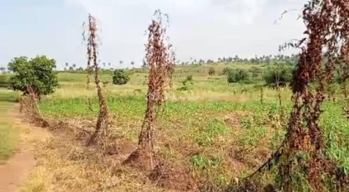 Verified Dry Land with Instant Allocation, Tingo Foods Processing Facility, National, Asaba International Airport, Asaba, Delta, Mixed-use Land for Sale