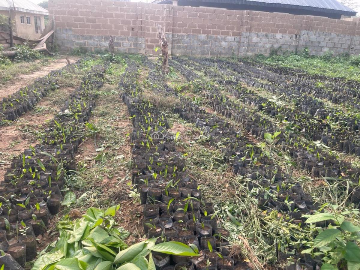 One Acre Today Secures Your Legacy Tomorrow, Ibese, Off Lagos-abeokuta Expressway, Ewekoro, Ogun, Land for Sale