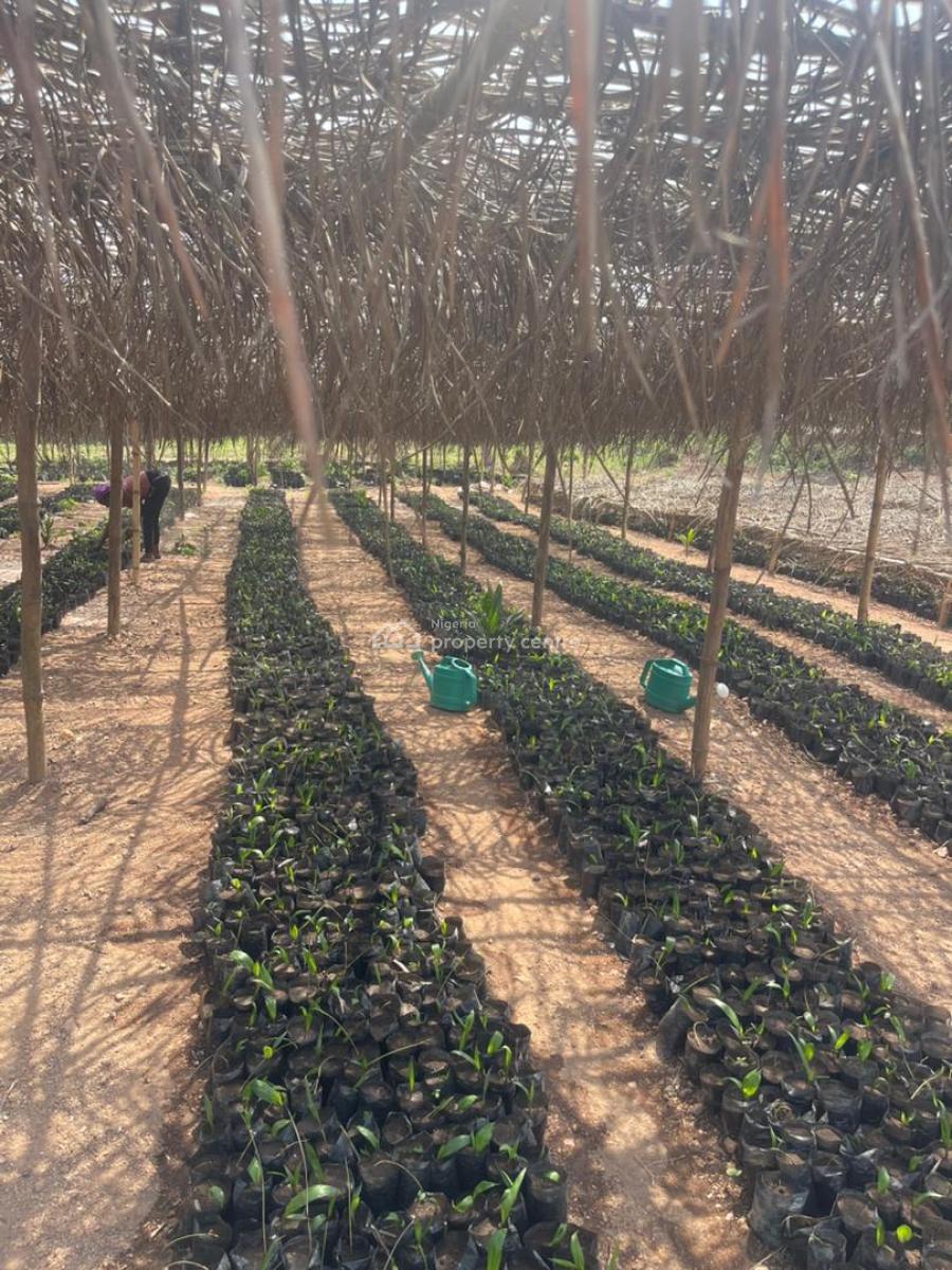 One Acre Today Secures Your Legacy Tomorrow, Ibese, Off Lagos-abeokuta Expressway, Ewekoro, Ogun, Land for Sale