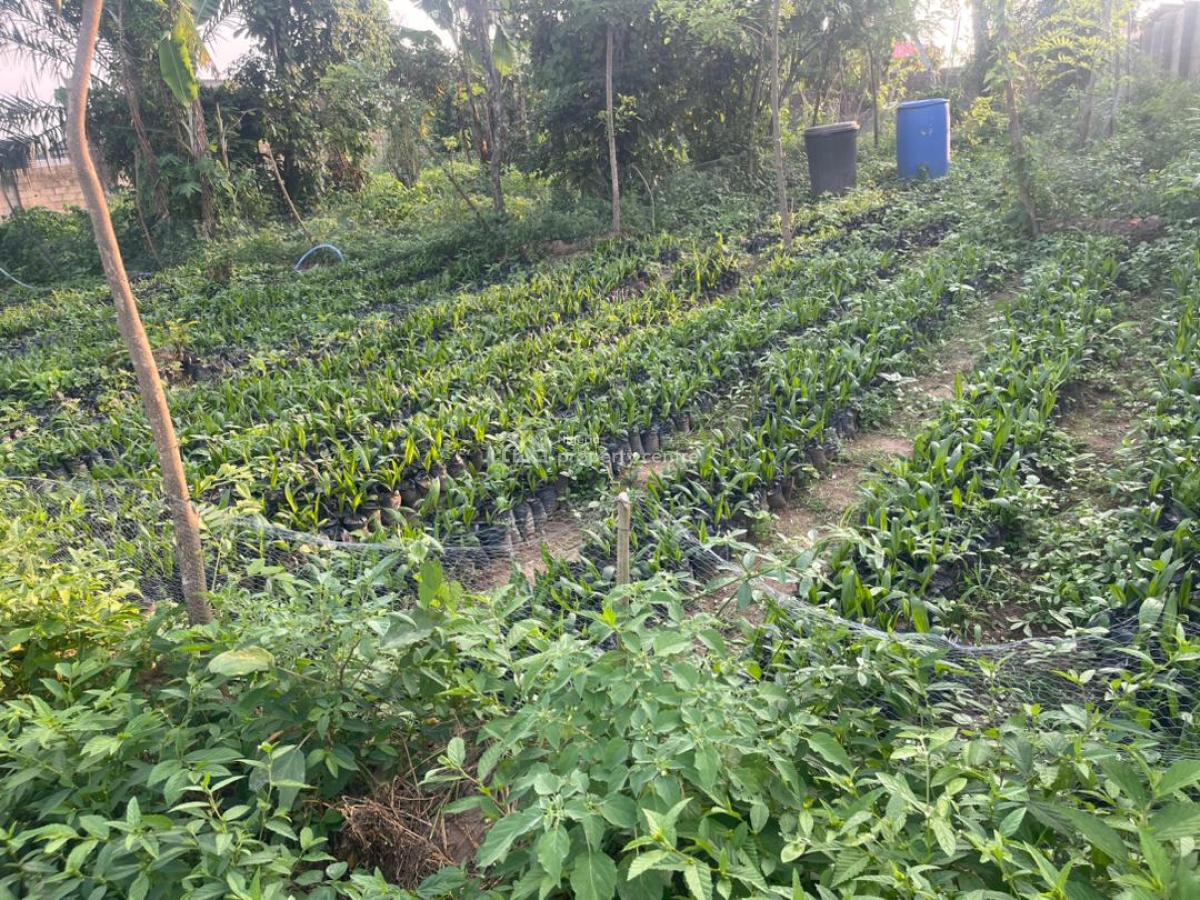 One Acre Today Secures Your Legacy Tomorrow, Ibese, Off Lagos-abeokuta Expressway, Ewekoro, Ogun, Land for Sale