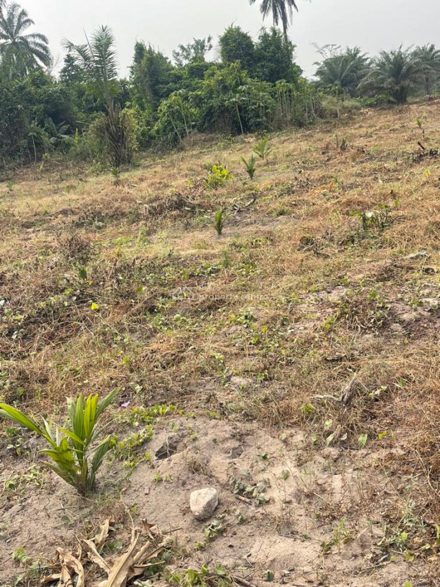 One Acre Today Secures Your Legacy Tomorrow, Ibese, Off Lagos-abeokuta Expressway, Ewekoro, Ogun, Land for Sale