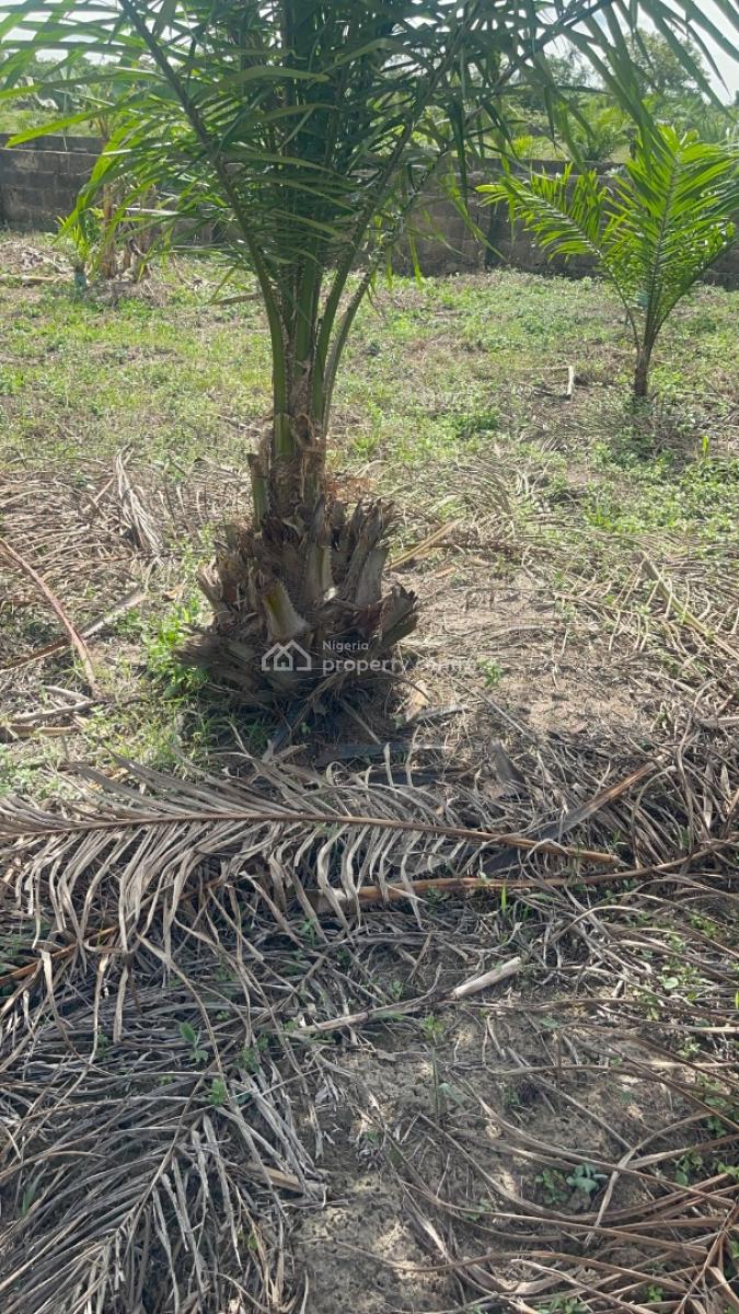 One Acre Today Secures Your Legacy Tomorrow, Ibese, Off Lagos-abeokuta Expressway, Ewekoro, Ogun, Land for Sale