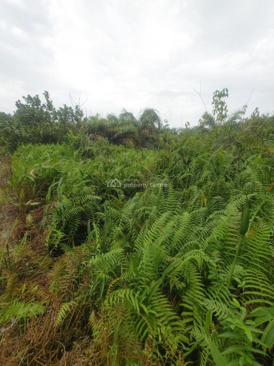 Very Good Half Plot of  Land in Eleko, Eleko Ibeju, Ibeju, Lagos, Residential Land for Sale