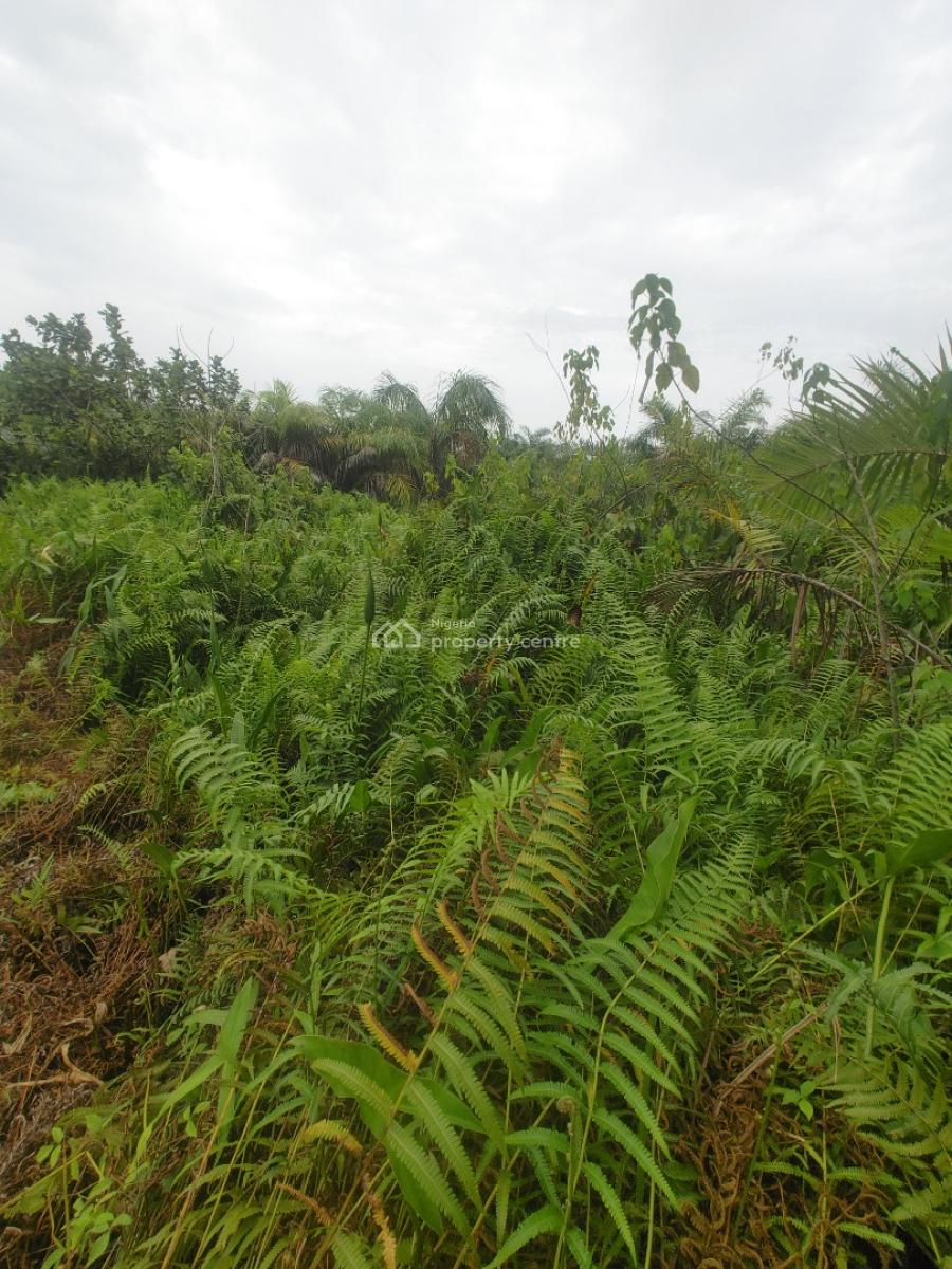 Very Good Half Plot of  Land in Eleko, Eleko Ibeju, Ibeju, Lagos, Residential Land for Sale