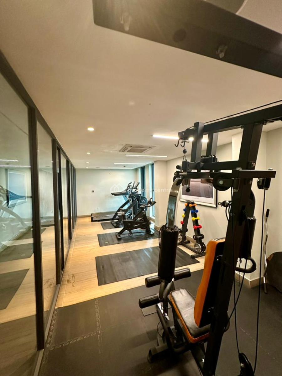 Nicely Furnished 1-bedroom Apartment with Fully Functional Gym, Victoria Island (vi), Lagos, Flat / Apartment Short Let