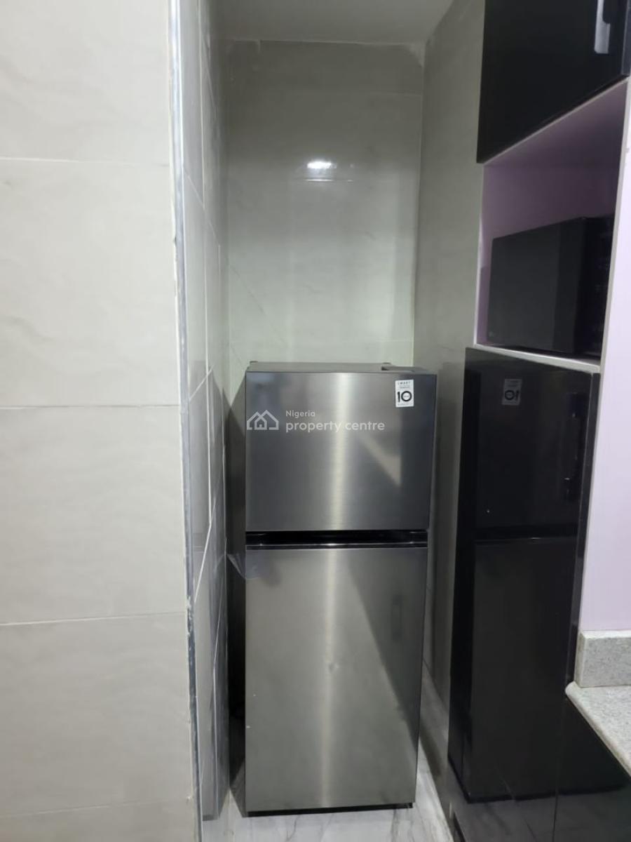 Fully Furnished 2 Bedrooms Apartment, Ikate, Lekki, Lagos, Flat / Apartment for Rent