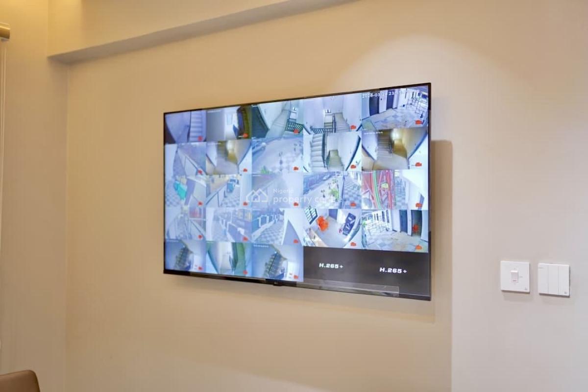 Luxury 2-bedroom Apartment with Premium Facilities, Surulere, Lagos, Flat / Apartment for Rent