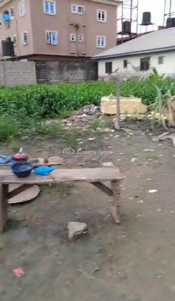 Buy & Built Land in a Grown/developed Area, Umited Estate, Sangotedo, Ajah, Lagos, Land for Sale
