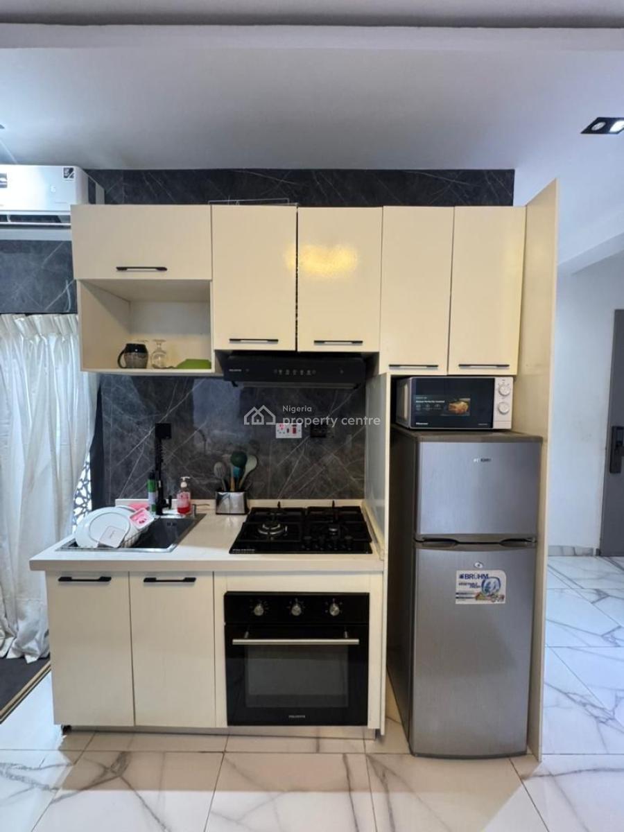 Luxury Fully Furnished Executive 1 Bedroom Apartment, Awolowo Road, Ikoyi, Lagos, Mini Flat (room and Parlour) for Rent