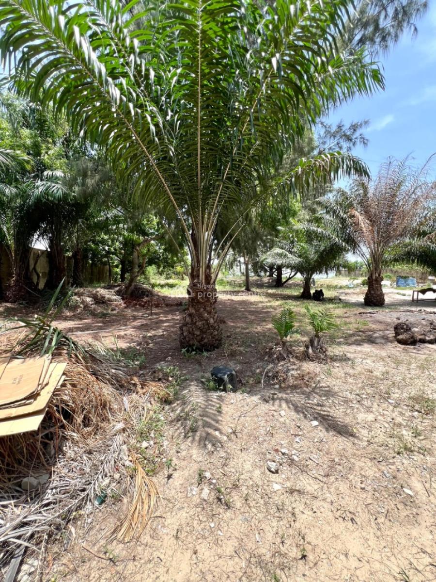 Corner Piece of Land, Banana Island, Ikoyi, Lagos, Mixed-use Land for Sale