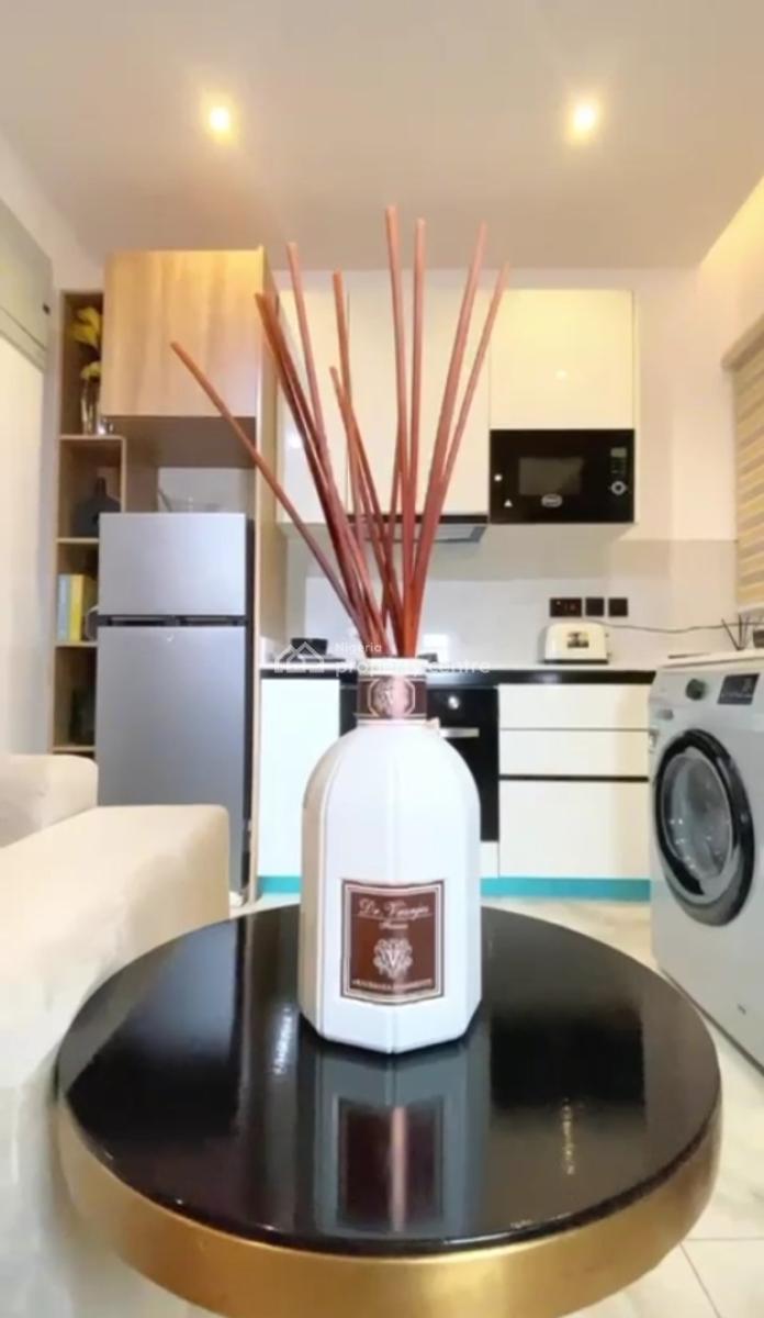 Luxury Furnished Miniflat with Swimming Pool, Ikate, Lekki, Lagos, Mini Flat (room and Parlour) for Sale