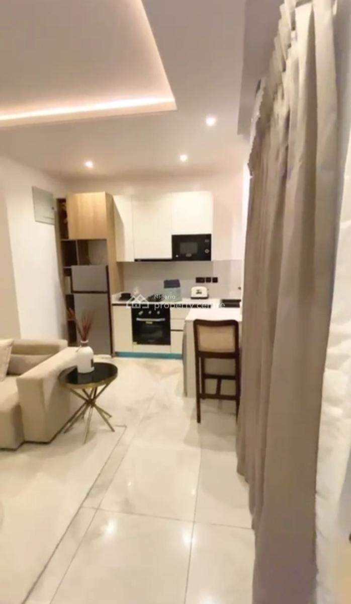 Luxury Furnished Miniflat with Swimming Pool, Ikate, Lekki, Lagos, Mini Flat (room and Parlour) for Sale