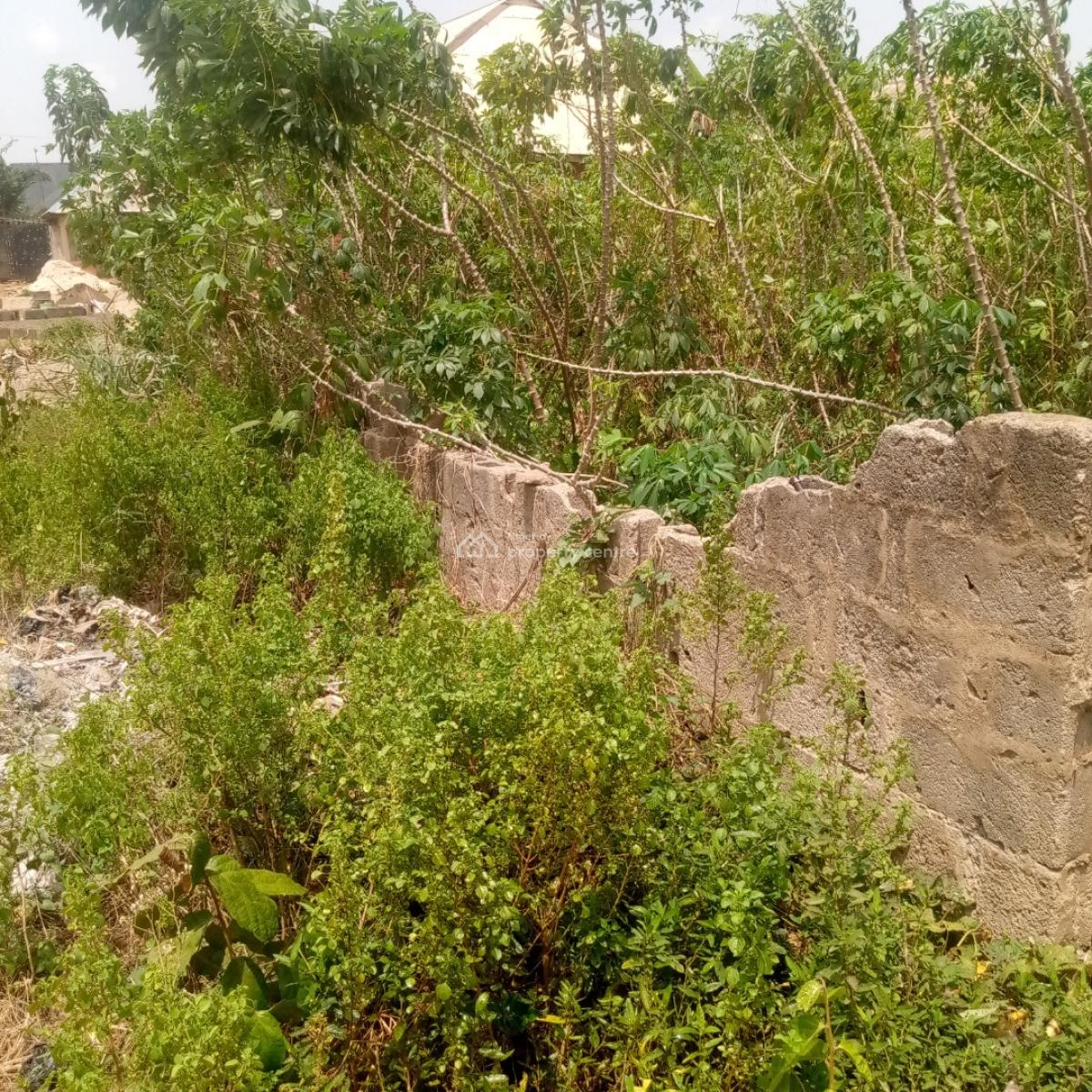 Full Standard Plot in a Well Developed Area, Off Cash and Carry Bus Stop Lusada Road, Ado-odo/ota, Ogun, Mixed-use Land for Sale