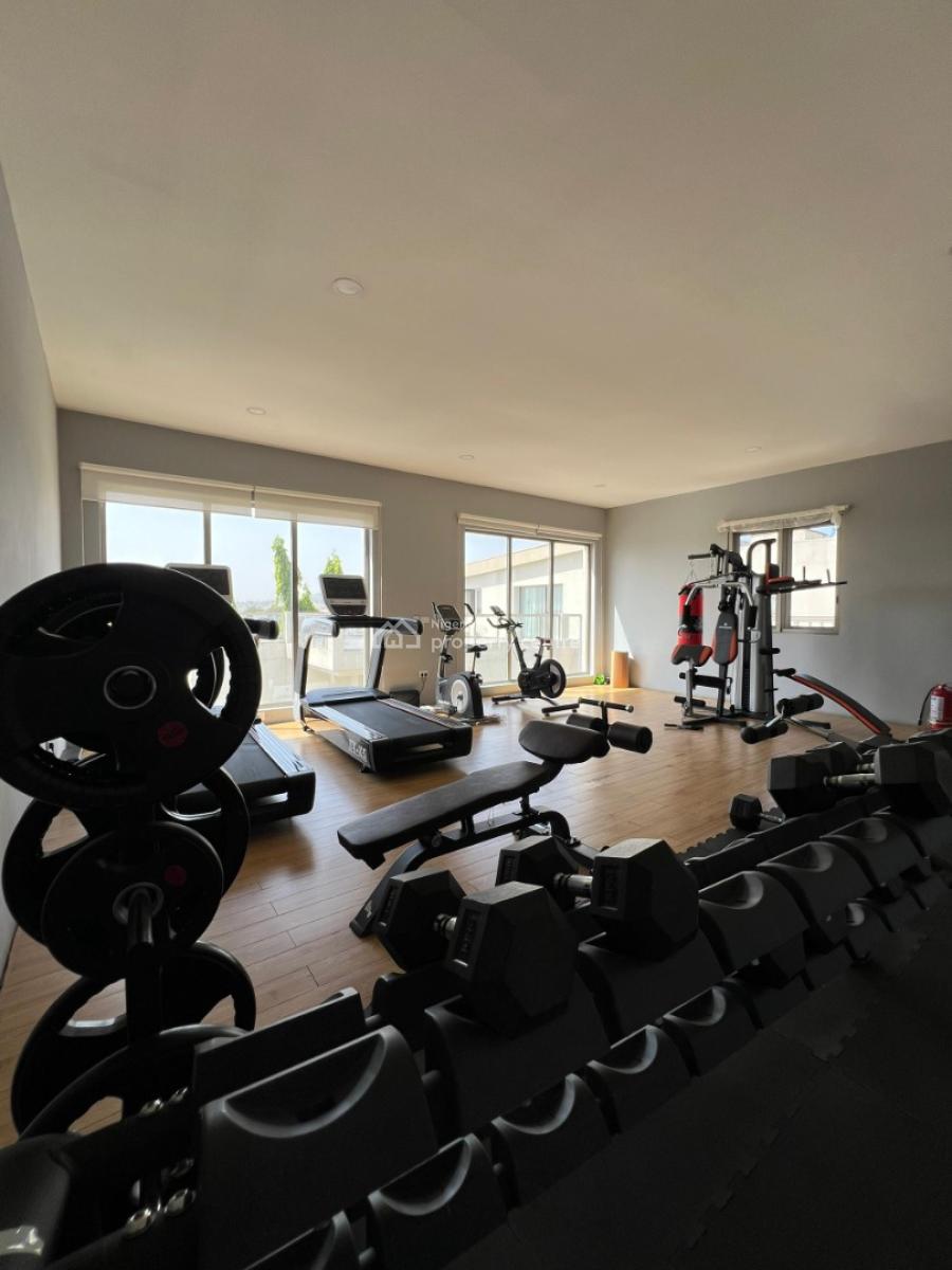 a Tastefully Furnished and Serviced 2 Bedroom, Jabi, Abuja, Flat / Apartment for Rent