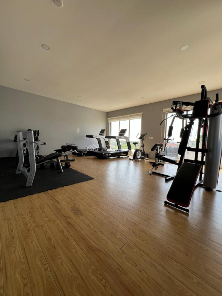 a Tastefully Furnished and Serviced 2 Bedroom, Jabi, Abuja, Flat / Apartment for Rent