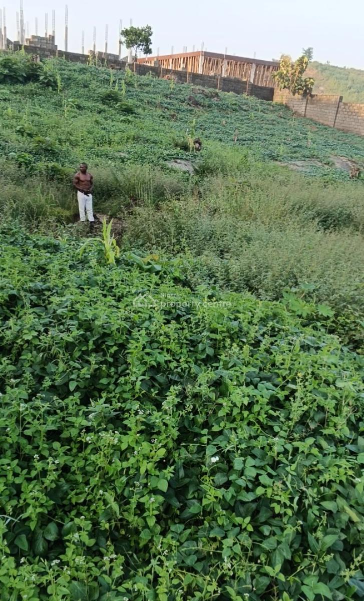 2000 Square Meters Available in The Heart of Guzape Main Abuja, Back of Hmedix Guzape, Guzape District, Abuja, Residential Land for Sale