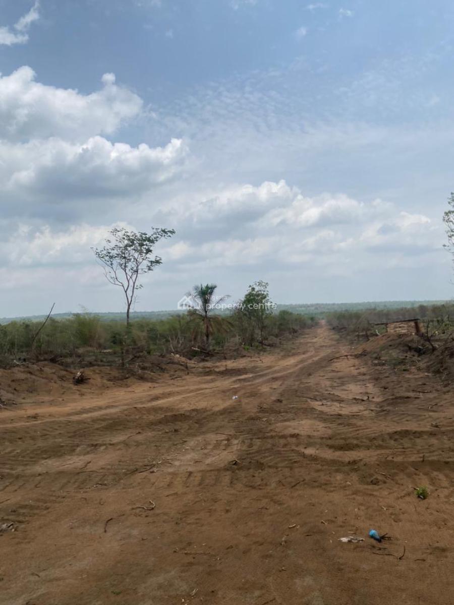 Earn Regularly From Cocoa ,cassava, Palm Oil ,cashew Or Plantain Farm, Fertile Land with a Discount Offer Suitable for Several Crop Farming, Abeokuta South, Ogun, Mixed-use Land for Sale