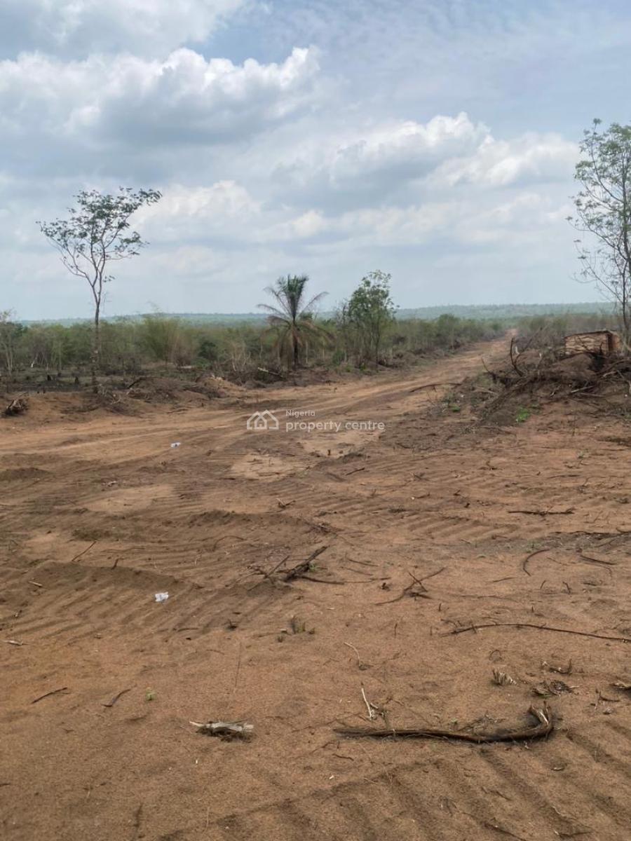 Earn Regularly From Cocoa ,cassava, Palm Oil ,cashew Or Plantain Farm, Fertile Land with a Discount Offer Suitable for Several Crop Farming, Abeokuta South, Ogun, Mixed-use Land for Sale