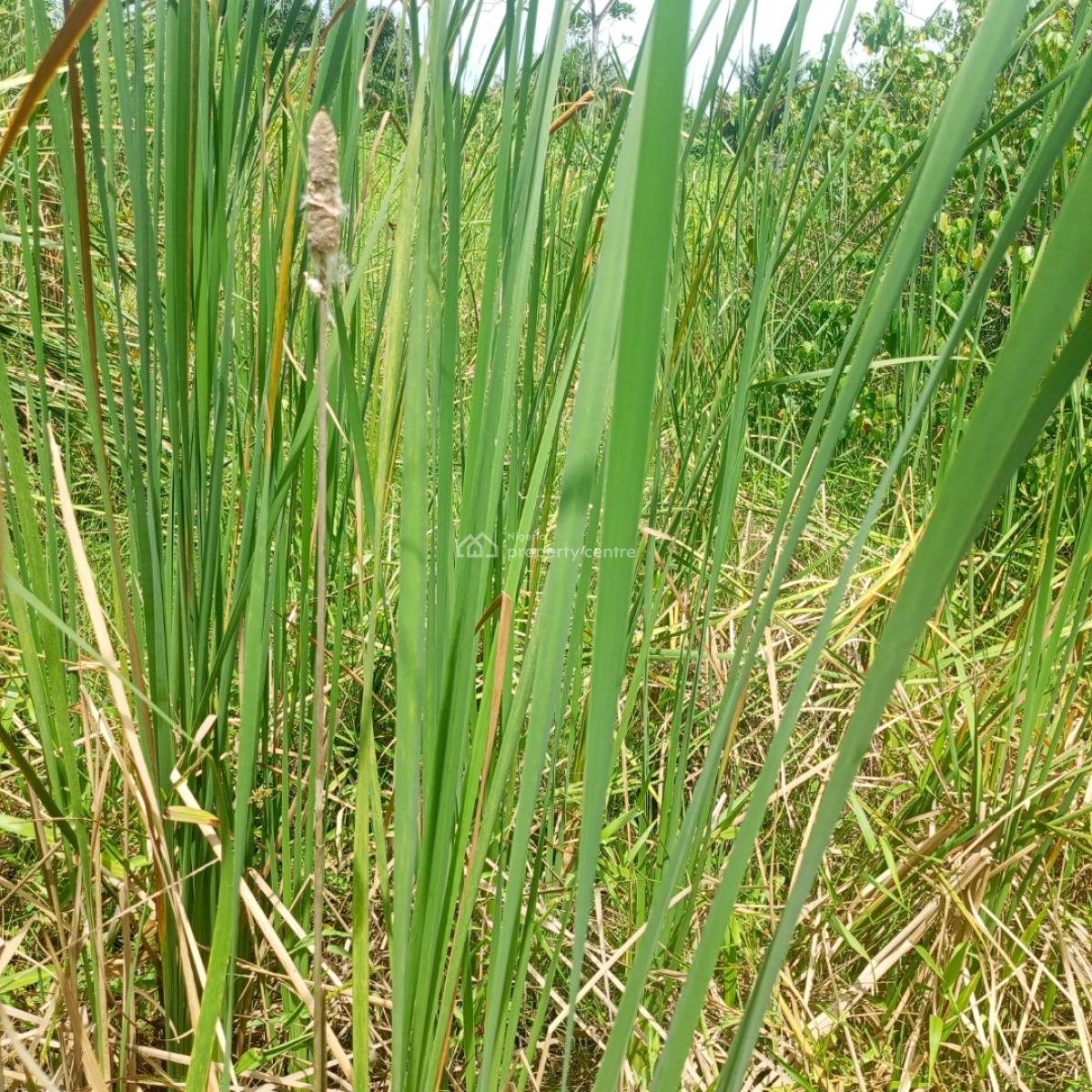 a Quarter Plot of Land in a Call to Access Estate, Silver Point Estate Badore Ajah-lekki, Badore, Ajah, Lagos, Residential Land for Sale