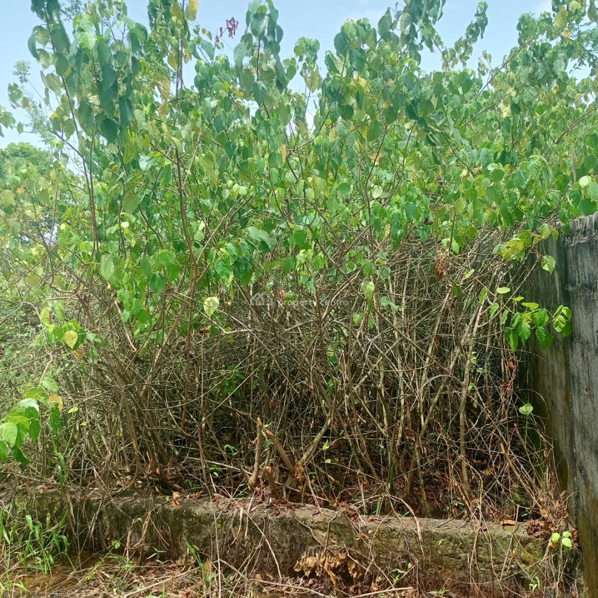 a Quarter Plot of Land in a Call to Access Estate, Silver Point Estate Badore Ajah-lekki, Badore, Ajah, Lagos, Residential Land for Sale