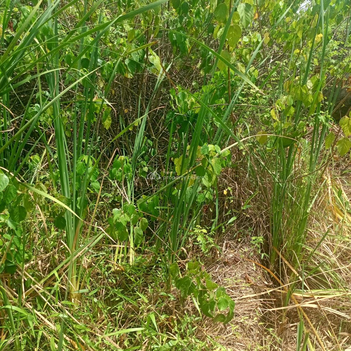 a Quarter Plot of Land in a Call to Access Estate, Silver Point Estate Badore Ajah-lekki, Badore, Ajah, Lagos, Residential Land for Sale